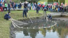 Výlov rybníka